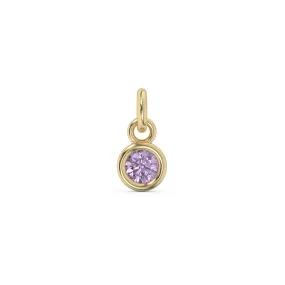 February Birthstone Charm | 10k Yellow Gold